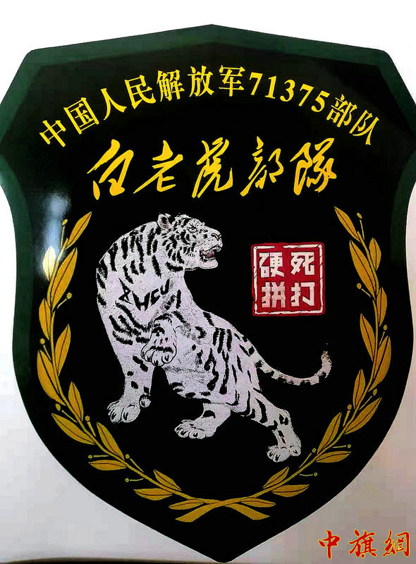 现用臂章.jpg