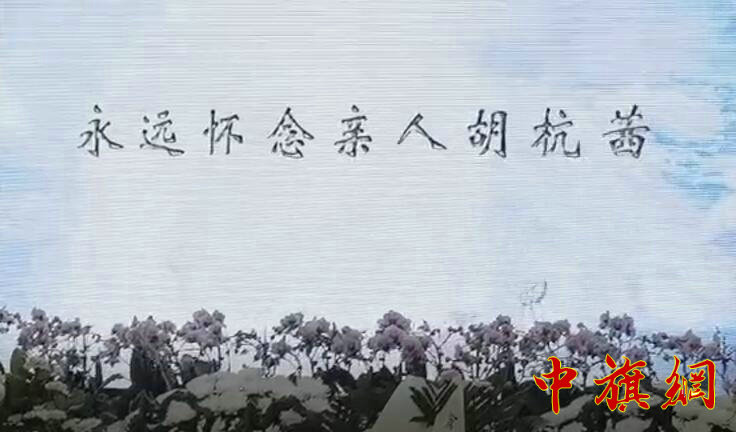 QQ截图20240516162651.jpg